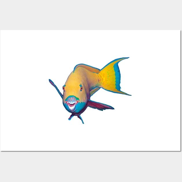 Parrotfish | What a striking make-up! | Wall Art by Ute-Niemann